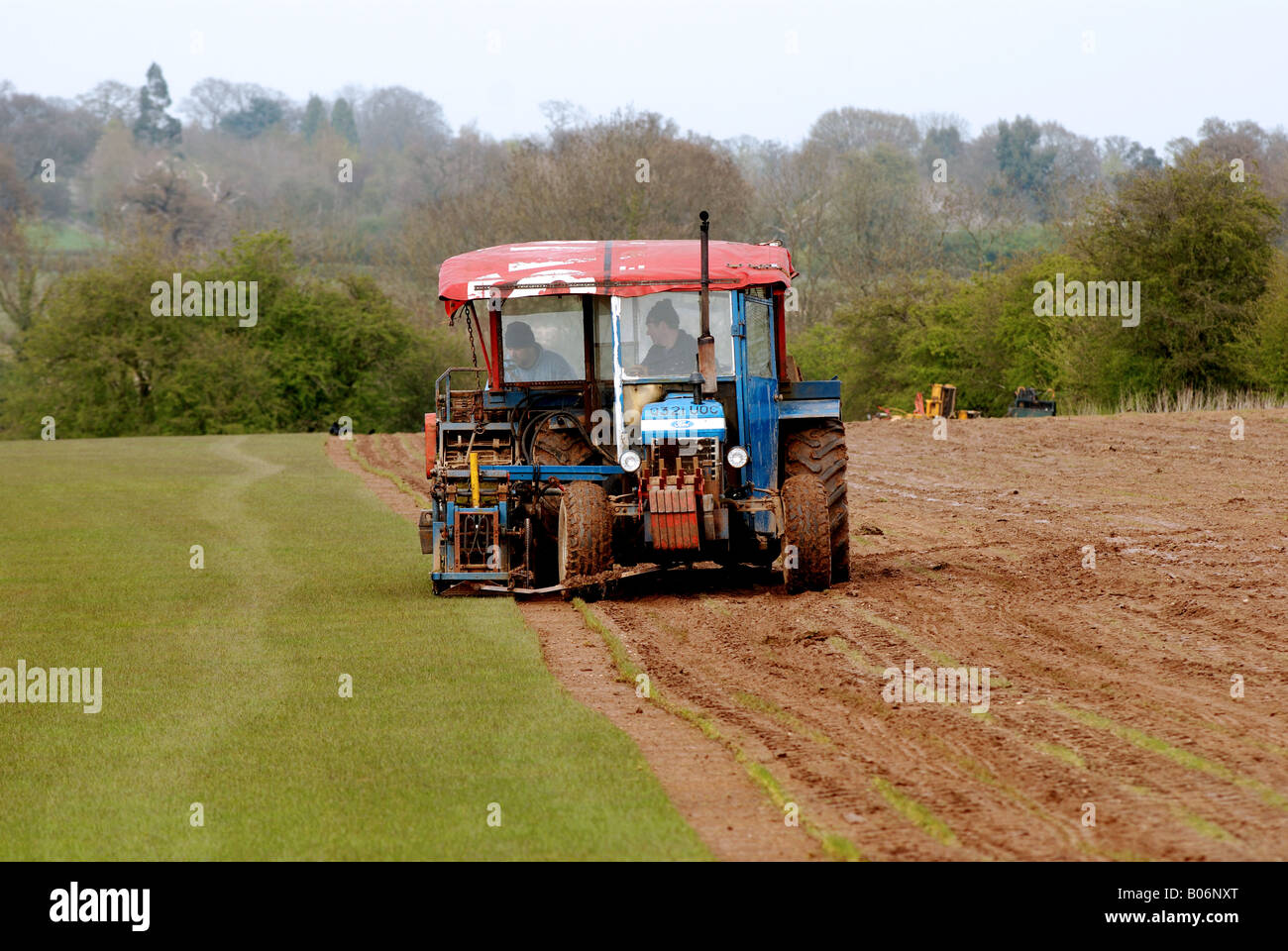 Commercial turf cutting, UK Stock Photo