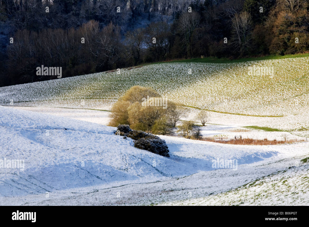 April snowfall among the hills of the Yeovil scarplands Stock Photo