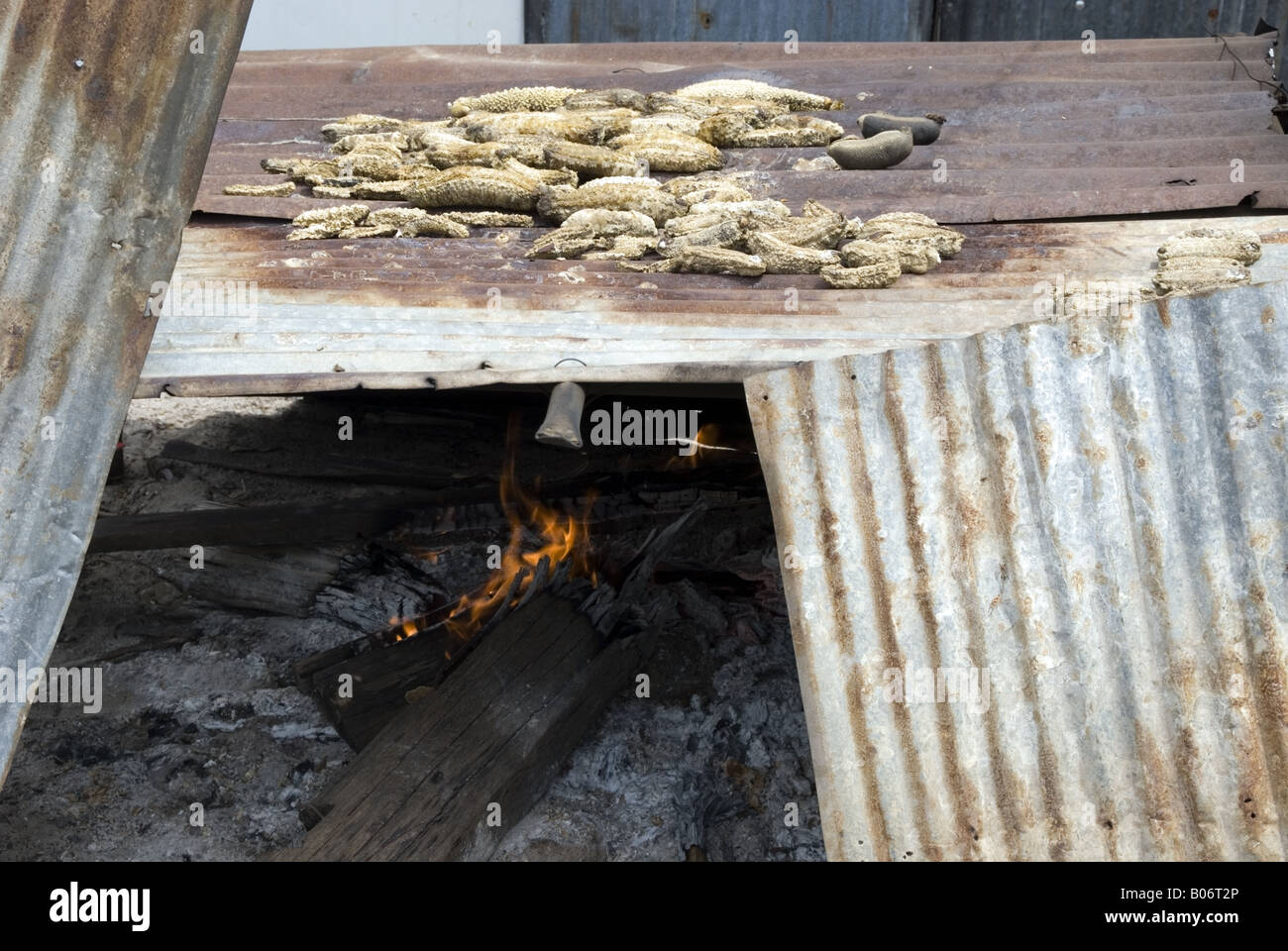 Sea cucumbers being cooked on an iron plate and open fire in an asian
