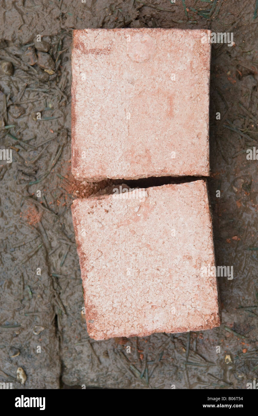 DIY How to build a brick wall Stock Photo Alamy