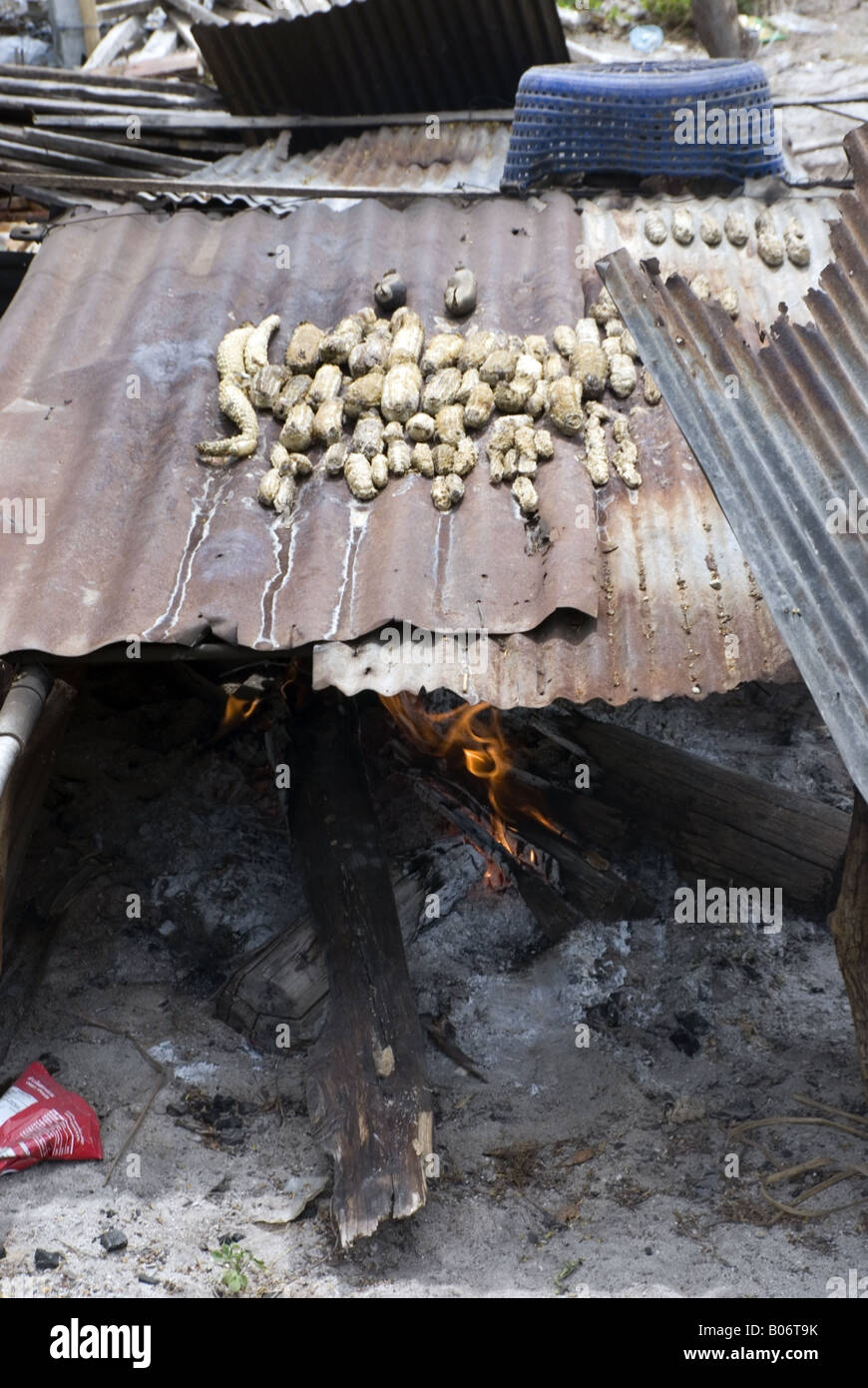 Sea cucumbers being cooked on an iron plate and open fire in an asian