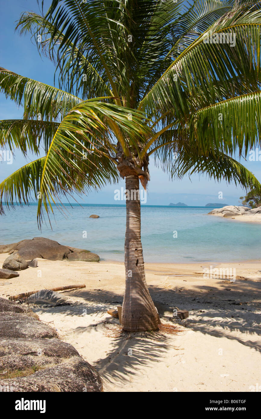Sea afternoon close up waves hi-res stock photography and images - Alamy