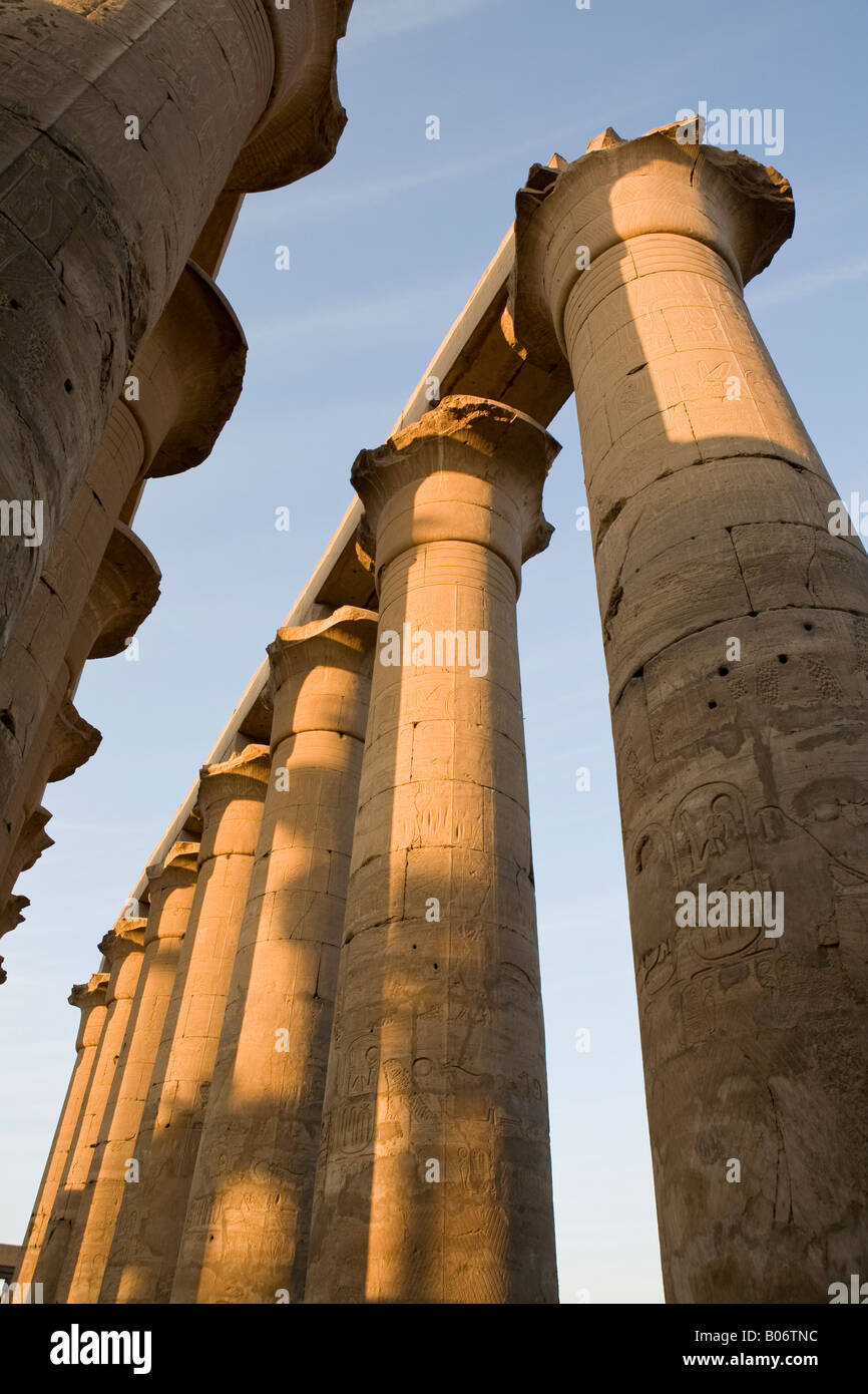 Column heads with lintels in the processional colonnade, Luxor Temple. Egypt Stock Photo