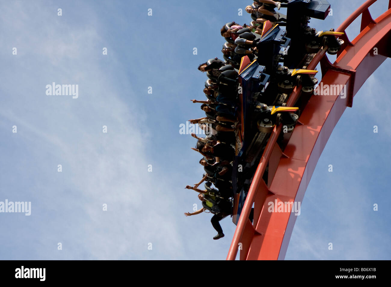 Sheikra Roller Coaster Thrill Ride at Busch Gardens in Tampa Florida Fl USA U S America American Stock Photo