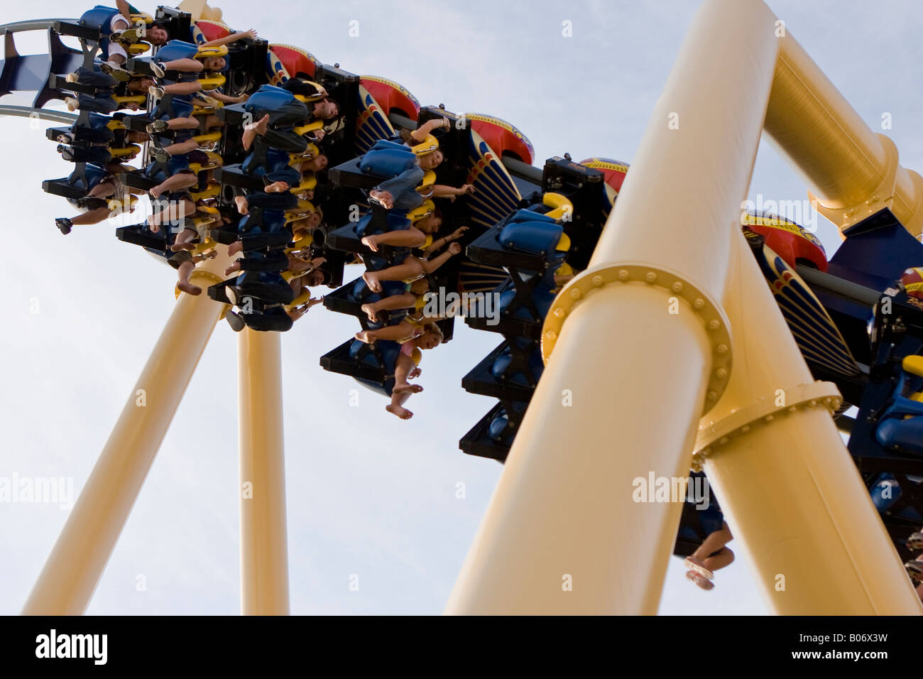 Montu - Busch Gardens Tampa (Tampa, Florida, United States)