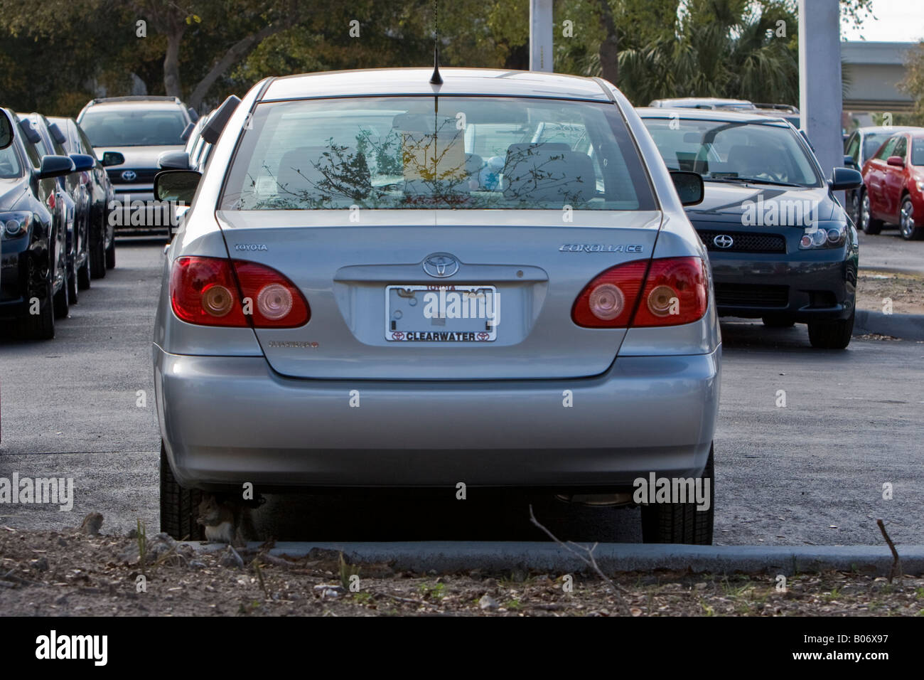 Sedan Model Cars Rear Rear of New Sedan Automobile Stock Photo - Alamy