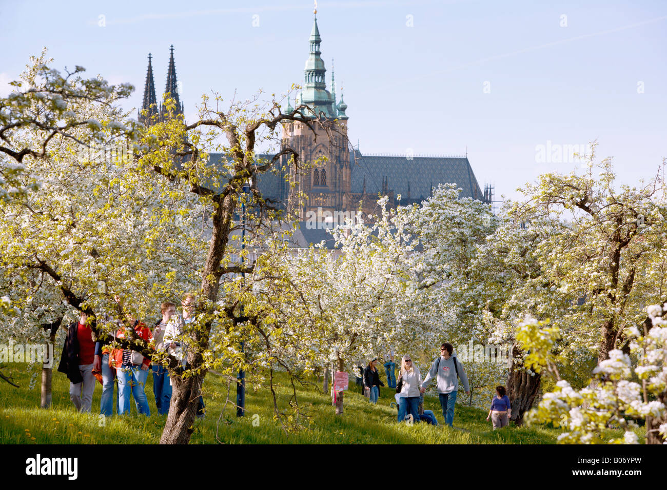 Prague spring petrin hill in bloom hi-res stock photography and images ...