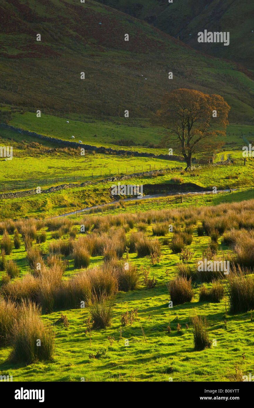 Scotland Scottish Borders Liddesdale Morning light scattered across ...