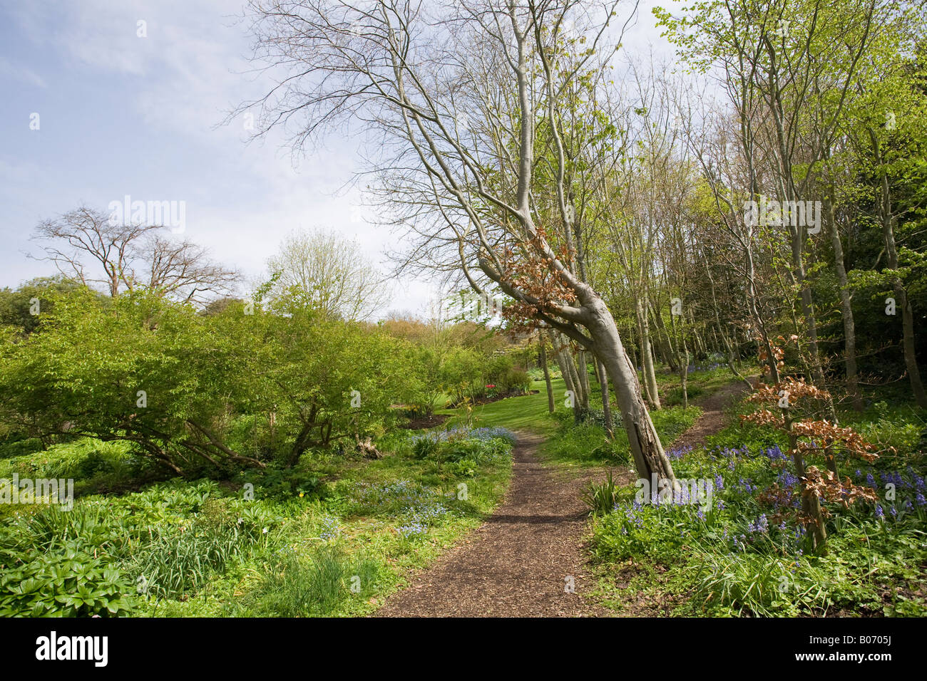 Pathway through Highdown Gardens, Worthing, West Sussex, England in Spring Stock Photo