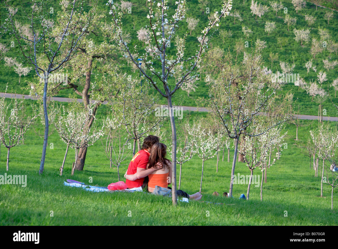 Prague spring petrin hill in bloom hi-res stock photography and images ...
