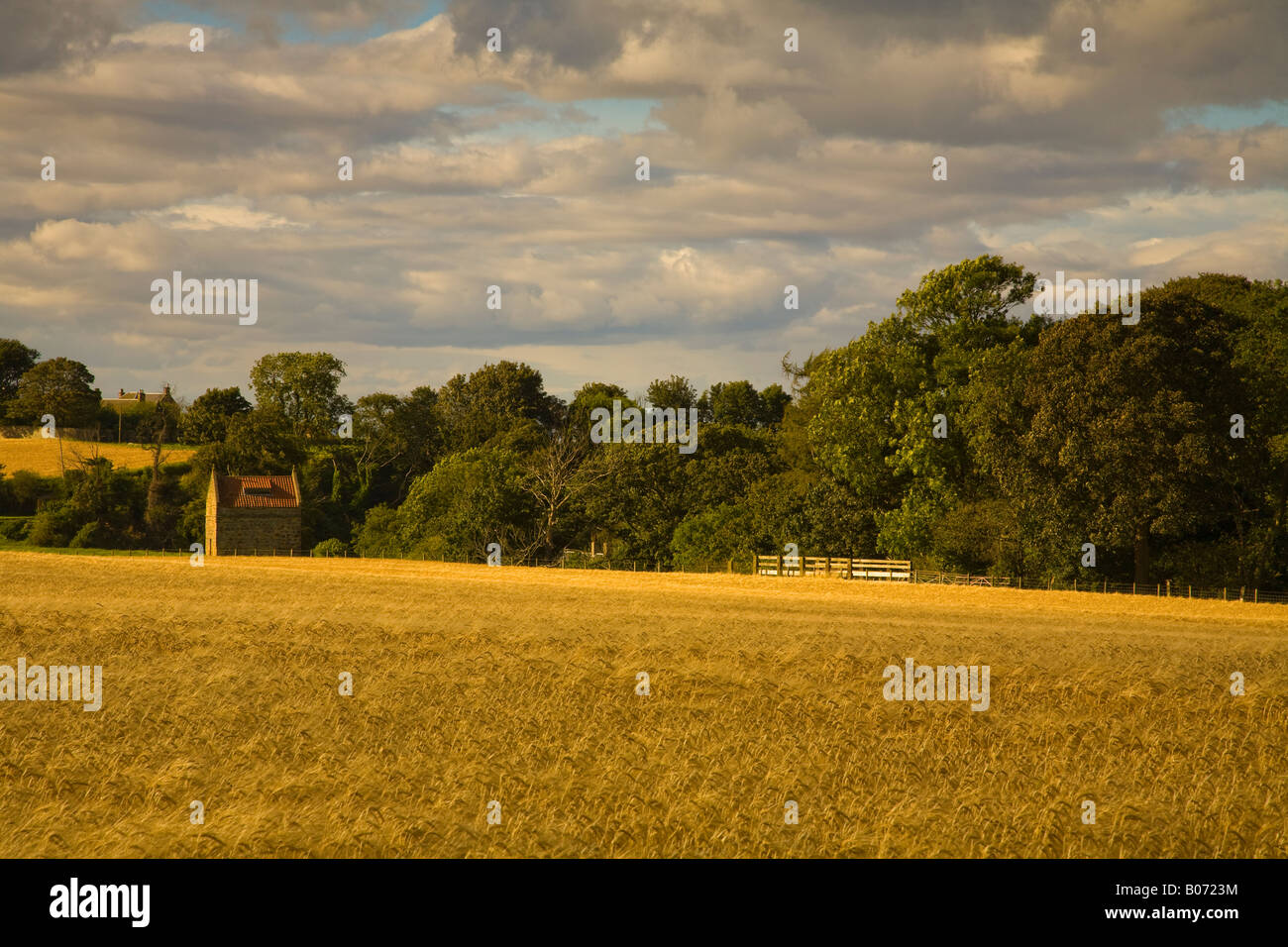 The old Doocot Boarhills, fife, Scotland Stock Photo Alamy