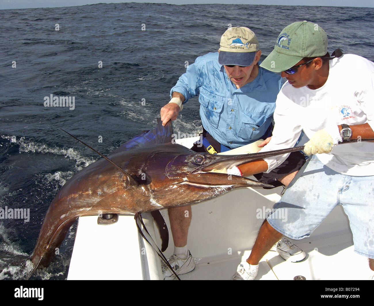 Sailfish capture Stock Photo