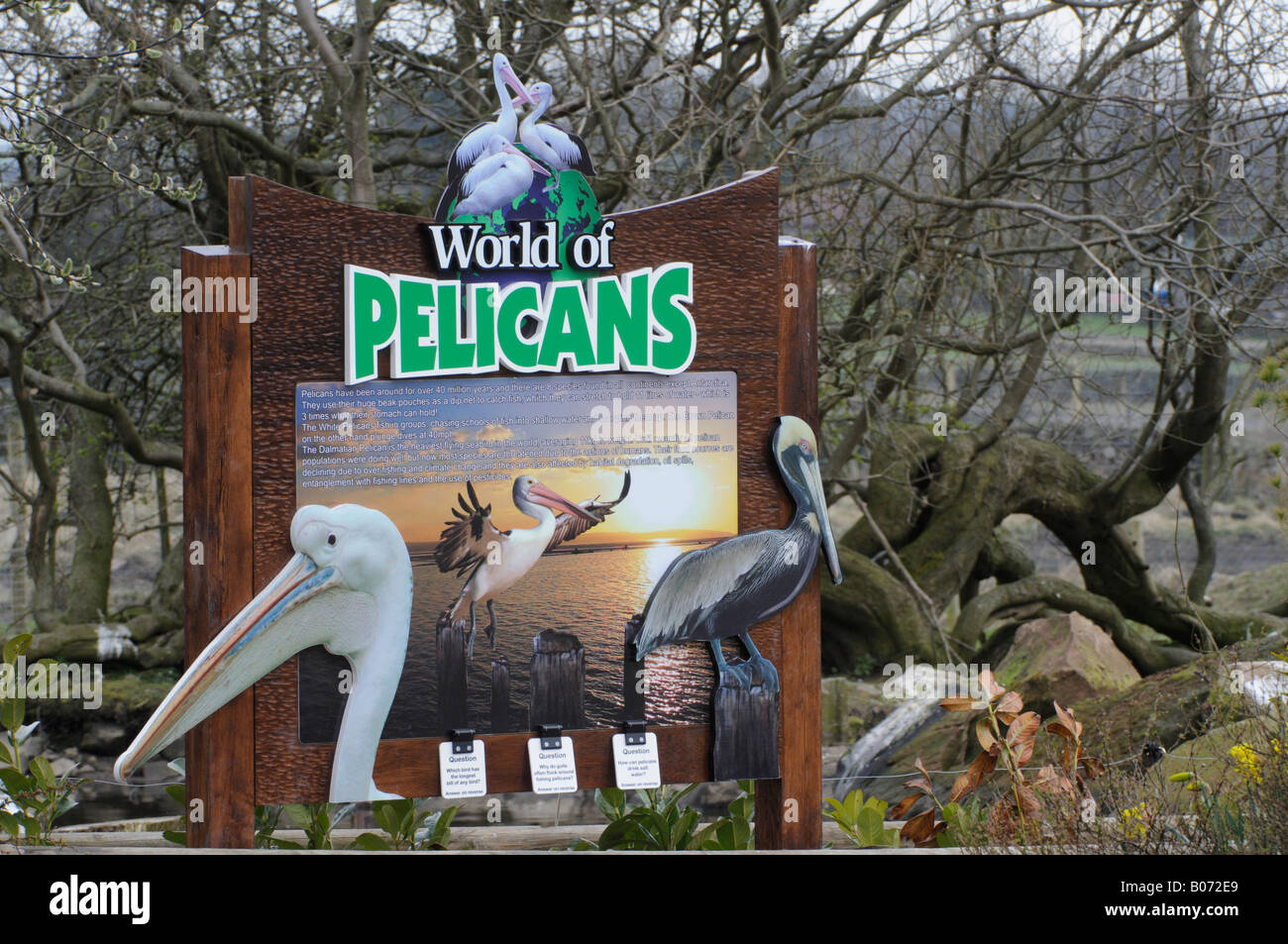 Pelican and Pelican sign Stock Photo
