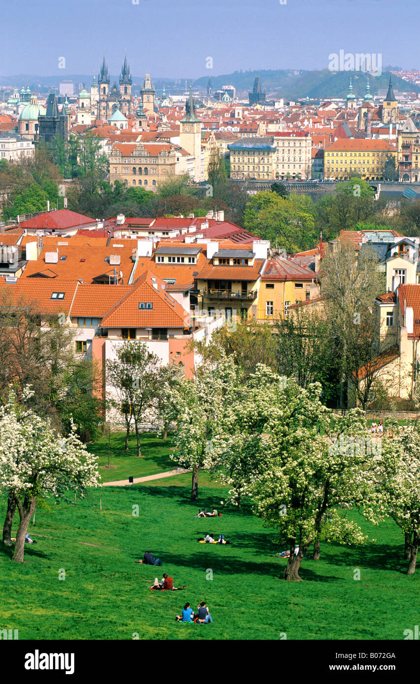Prague cherry trees blossom spring hi-res stock photography and images ...