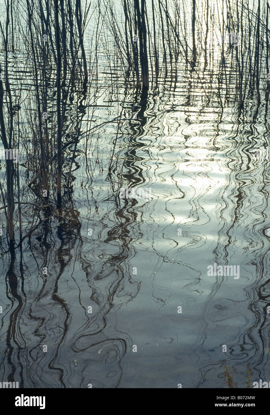 Reflection on water. Abstract effect. Stock Photo