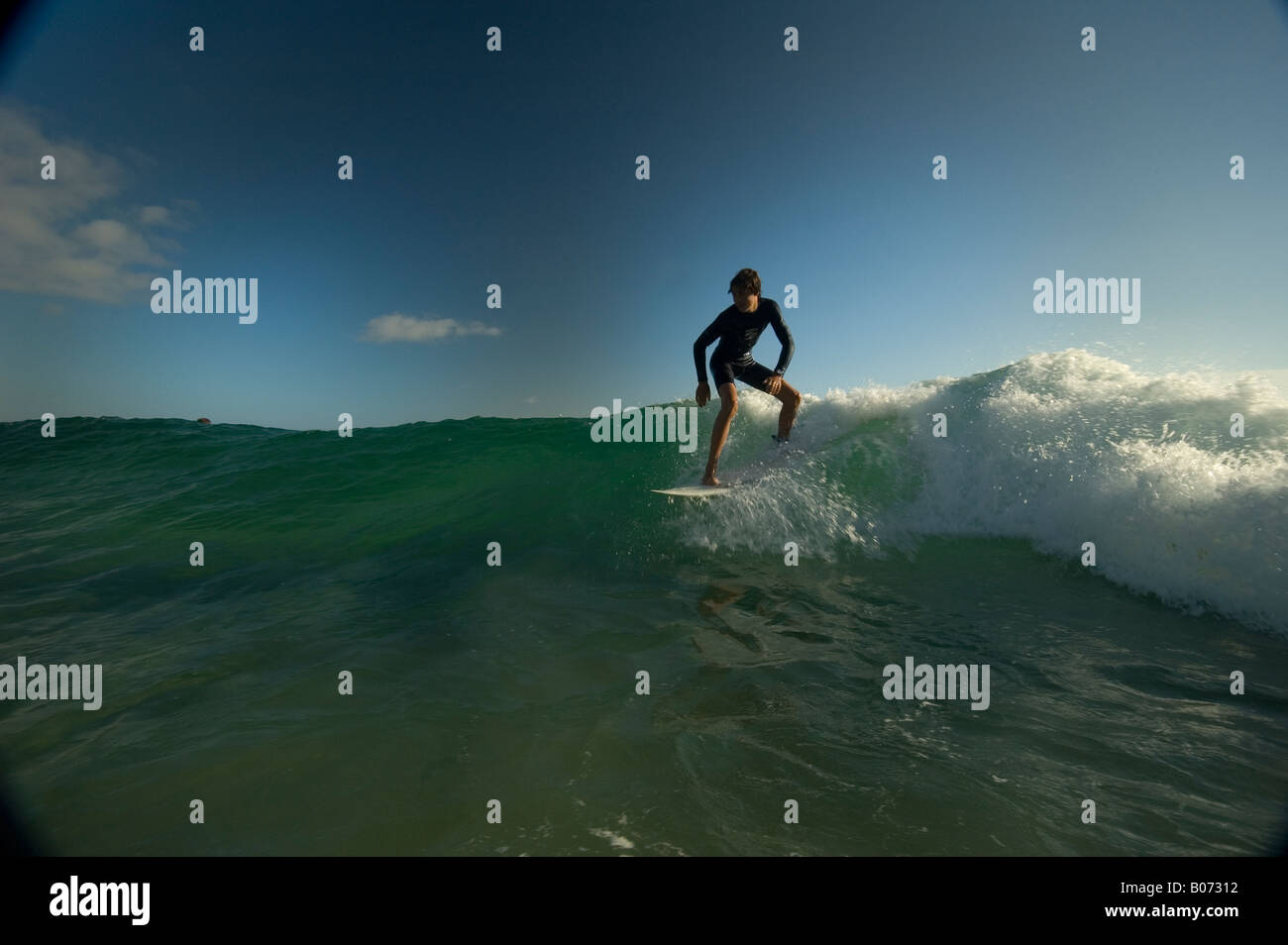 young surfing grommet Stock Photo Alamy