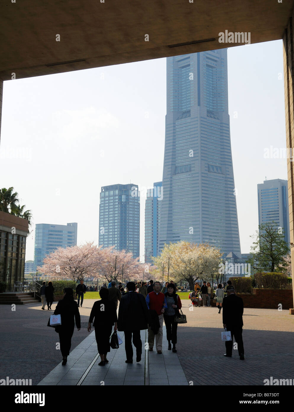 Japanese tourists enjoying Cherry Blossoms along the Kishamichi promenade towards Yokohama Landmark Tower, Minatomirai JP Stock Photo