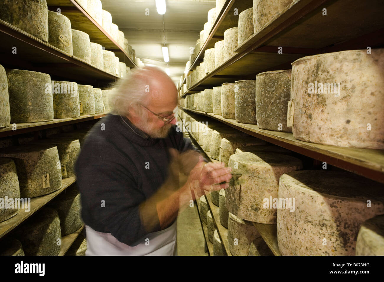 Jeff Reade, Cheesmaker, Sgriob Ruadh Farm, Tobermory, Isle of Mull, Scotland Stock Photo Alamy