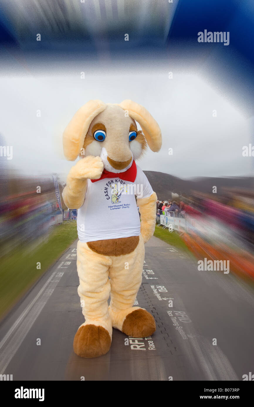 North Sound Cash for Kids Charity Run Balmoral goodwill ambassadors, in animal costume, at the Balmoral Road Races, Royal Deeside, Scotland uk Stock Photo