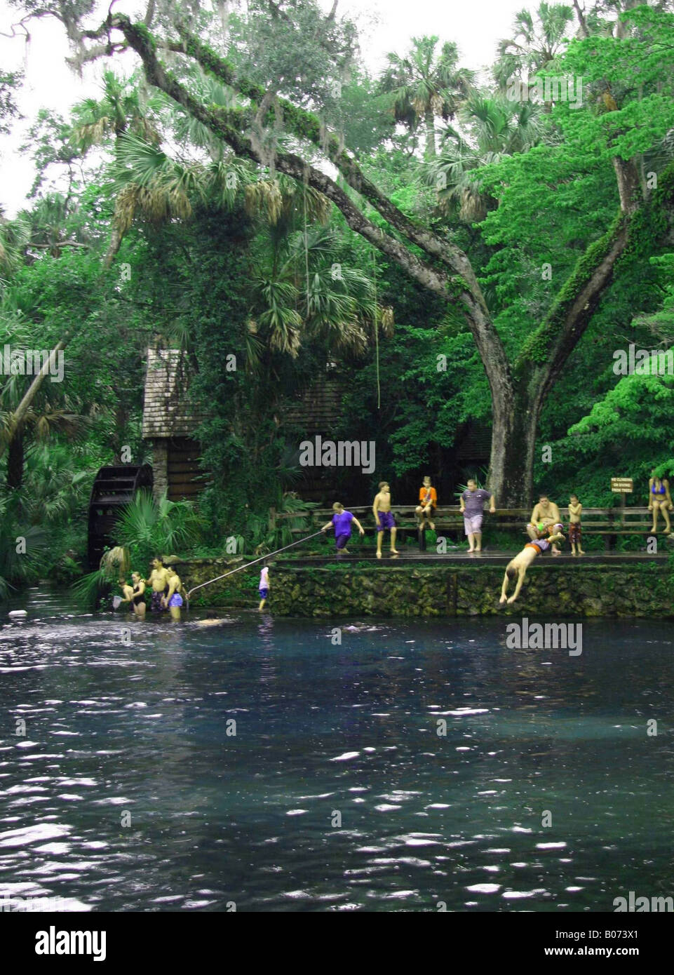 Juniper springs florida hires stock photography and images Alamy