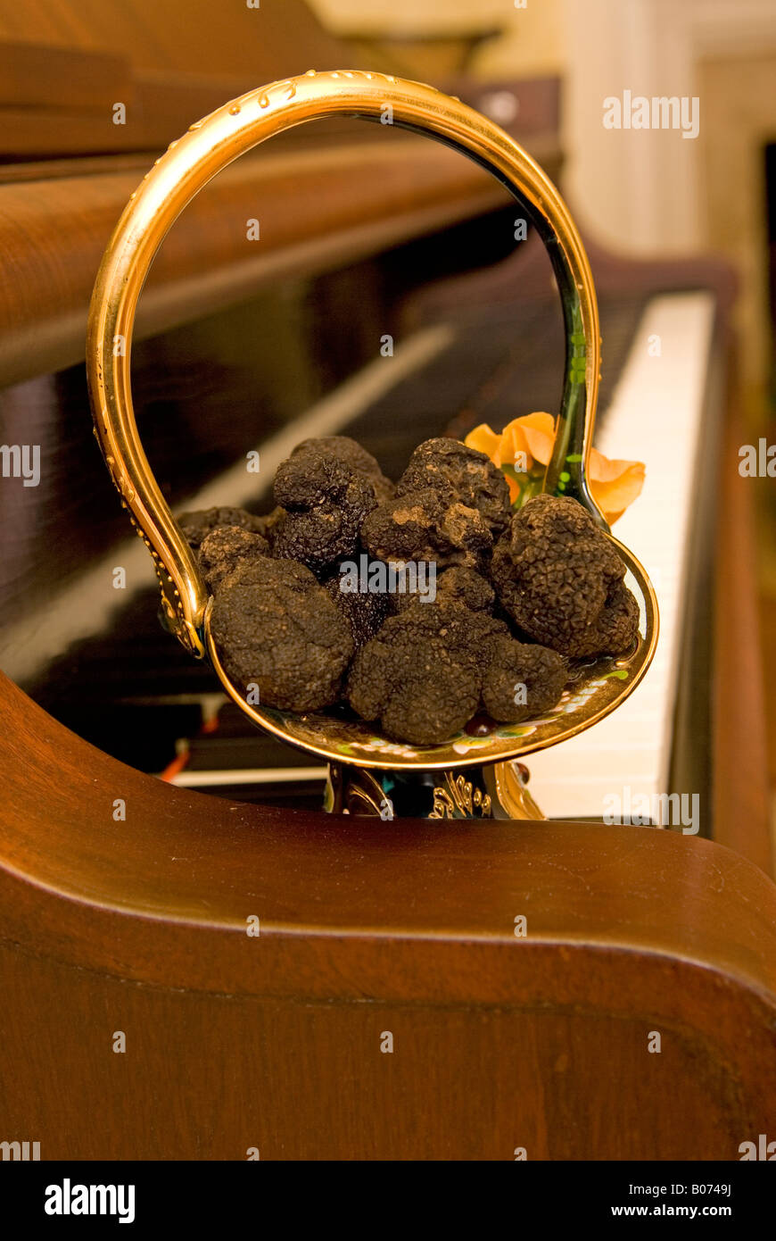 Closeup Showing Bucket of Fresh Black Diamond Truffles on Plate on Piano USA Stock Photo