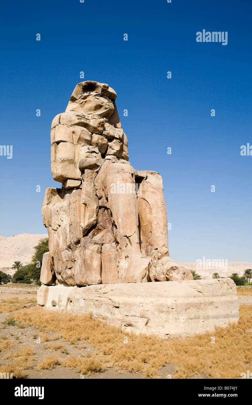 Colossus Of Memnon Writing Hi-res Stock Photography And Images - Alamy