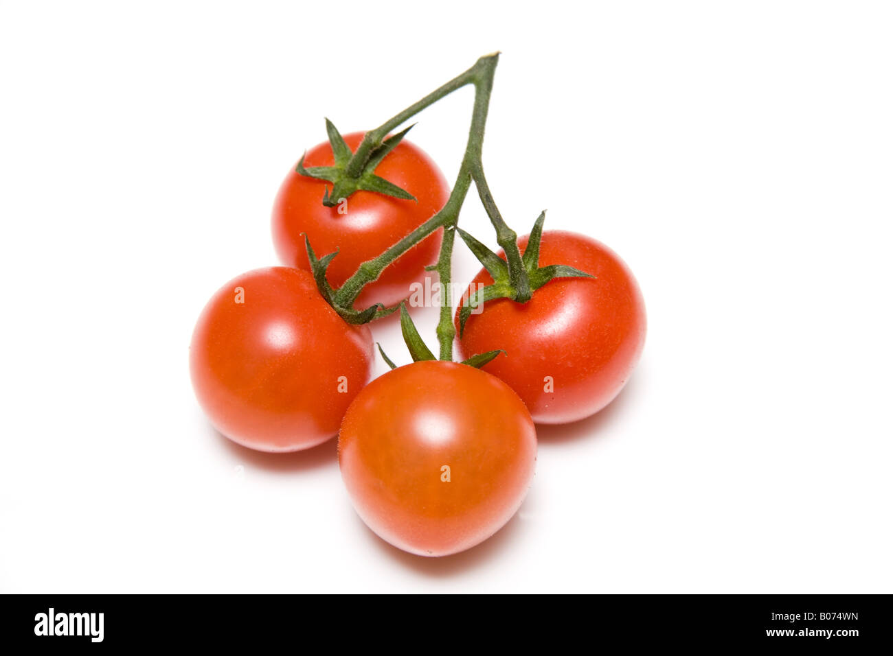 Vine tomatoes isolated on a white studio background Stock Photo - Alamy