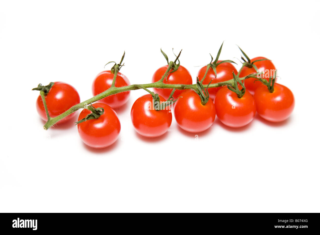 Vine tomatoes isolated on a white studio background Stock Photo - Alamy