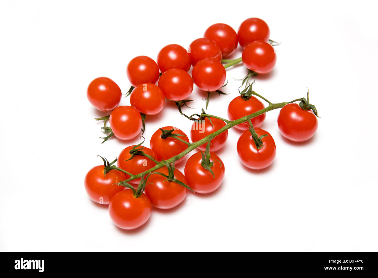 Vine tomatoes isolated on a white studio background Stock Photo - Alamy