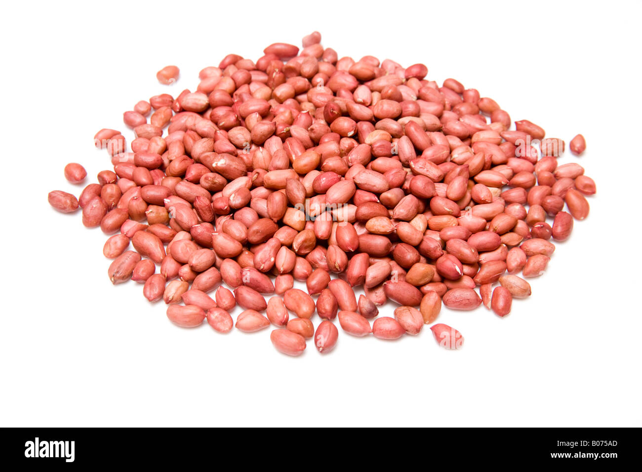 redskin peanuts isolated on a white studio background. Stock Photo
