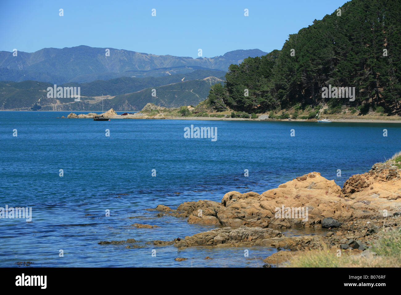 Marine driver south of Wellington Stock Photo - Alamy