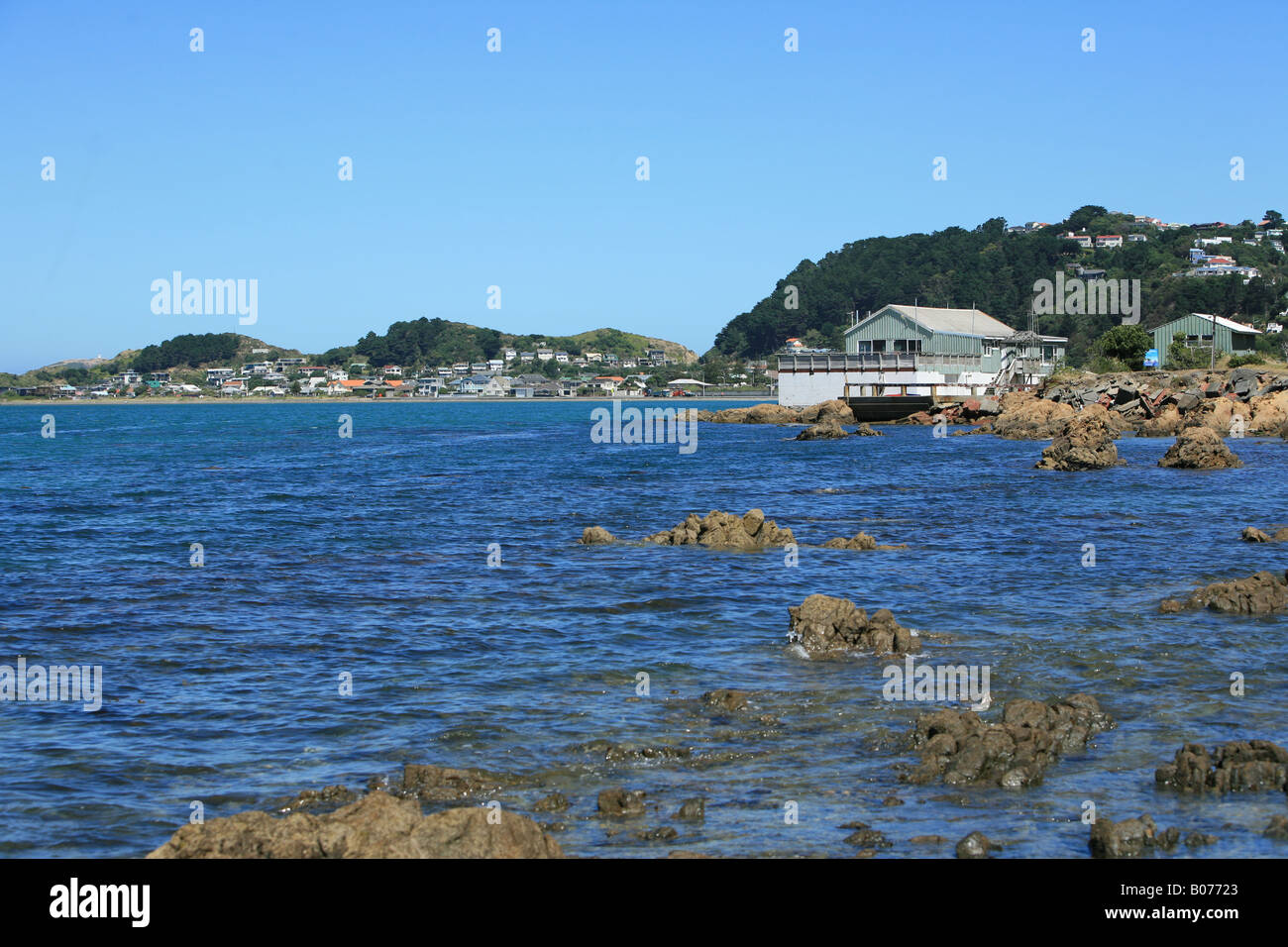 marine drive South of Wellington Stock Photo Alamy