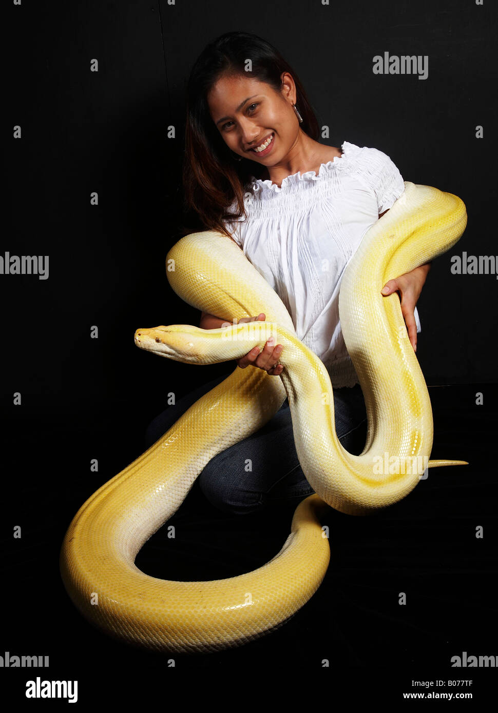 Woman with huge Albino Python around her Stock Photo - Alamy