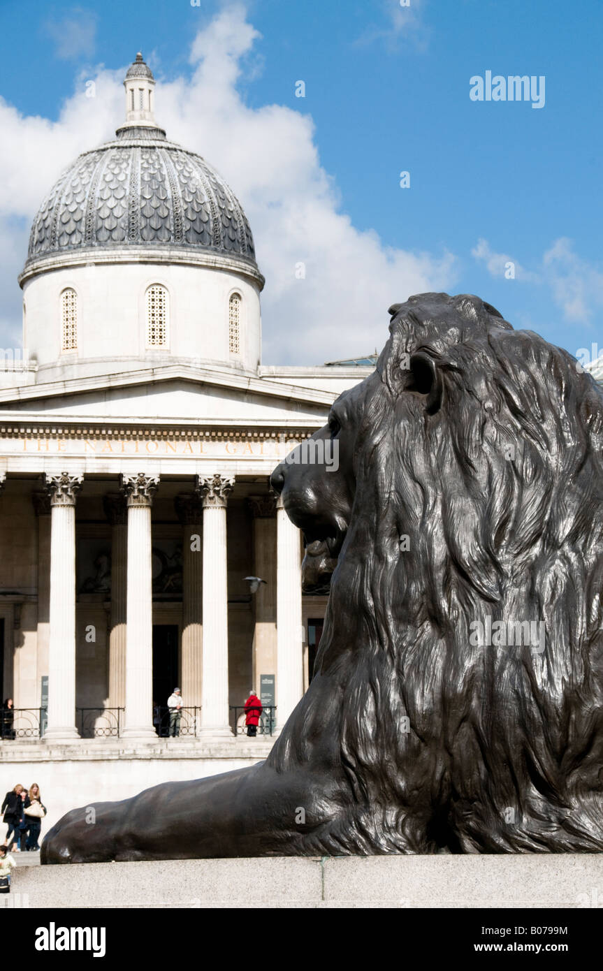 a bronze lion statue at Trafalgar Square and the National Gallery in