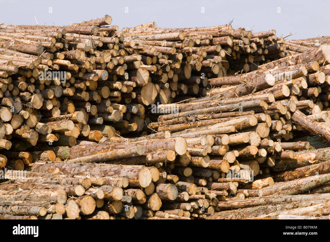 E ON s biofuel power station in Lockerbie Scotland with timber supplies Stock Photo