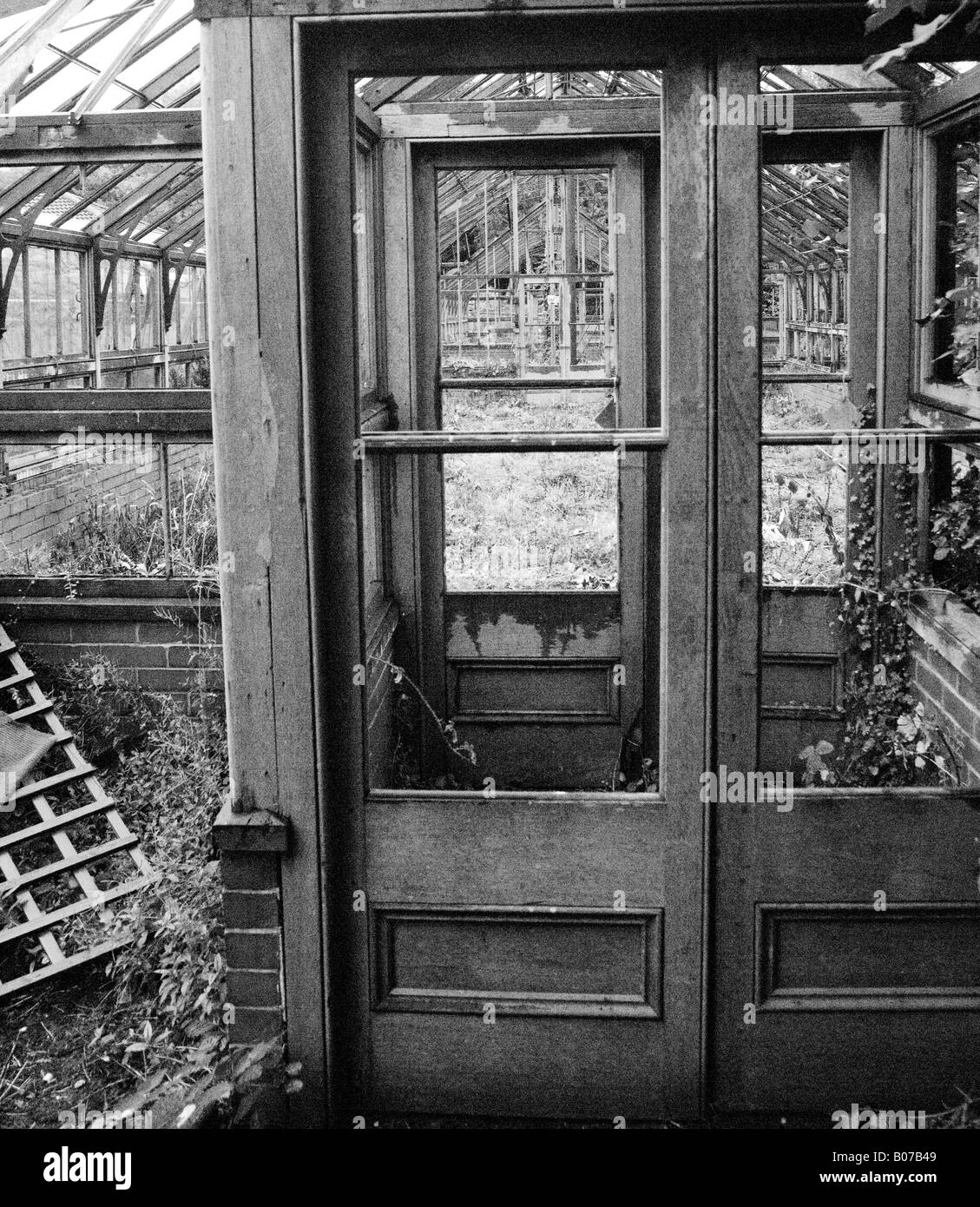 Overgrown greenhouse Black and White Stock Photos & Images Alamy