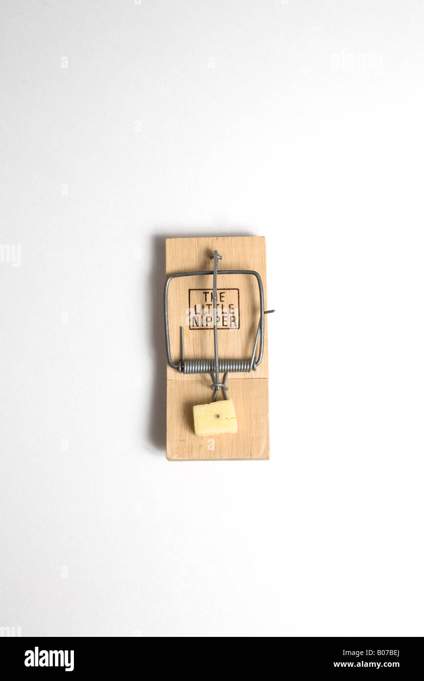 Wooden Mouse Trap With Square Of Cheese On White Backdrop Stock Photo ...