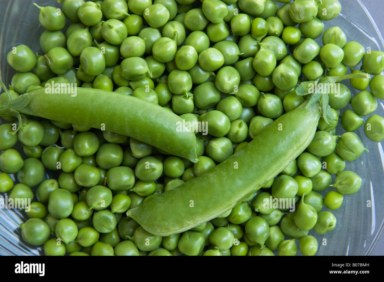 Shelled peas with pods on glass plate. Stock Photo