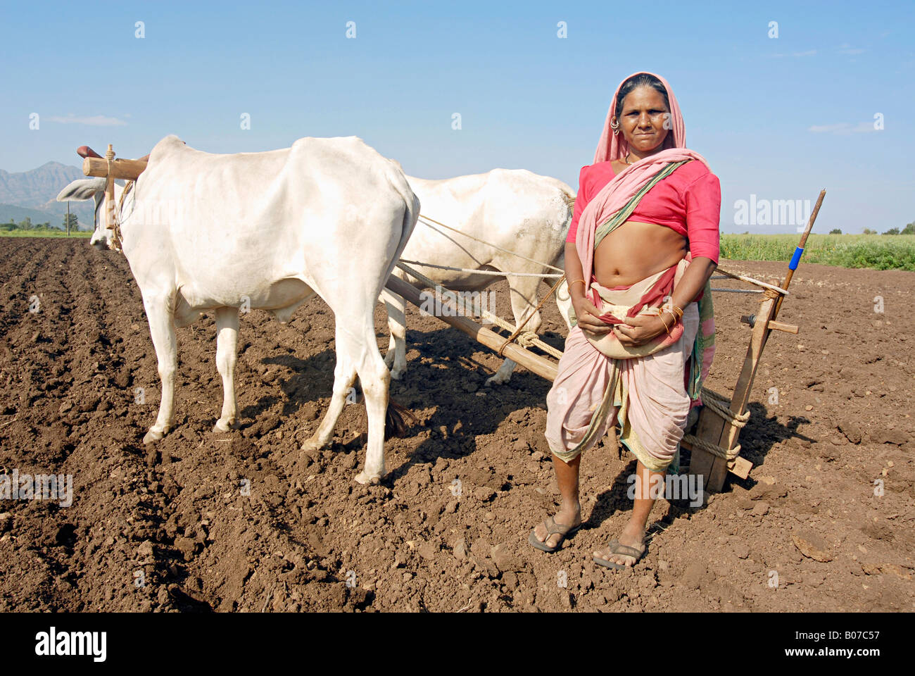 Tribal woman ploughing the field and sowing seeds. Bhil tribe Stock Photo