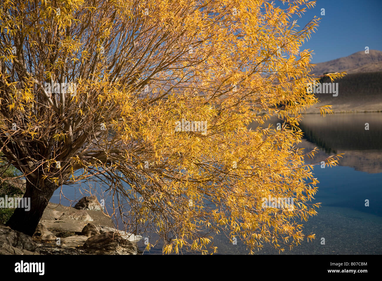lake dunstan and pisa mountains in autumn,south island new zealand. Stock Photo