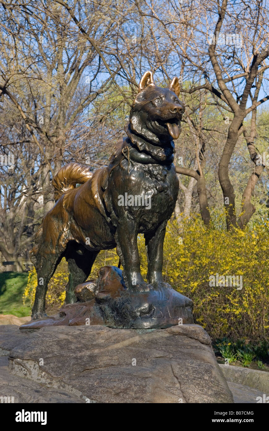 Statue of Balto in Central Park, New York City Stock Photo Alamy