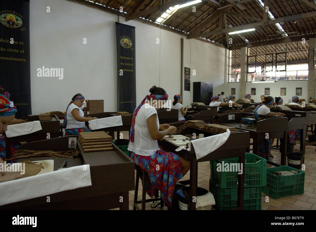 Women working in the hand-made cigars factory in Sao Felix city in Bahia, a northeastern State in Brazil. Stock Photo