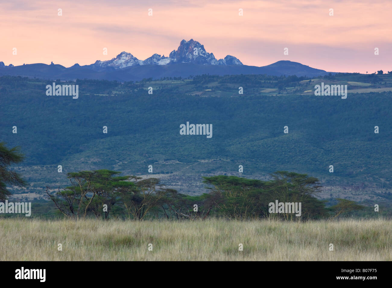 Mt. Kenya, Lewa Wildlife Conservancy, Kenya Stock Photo
