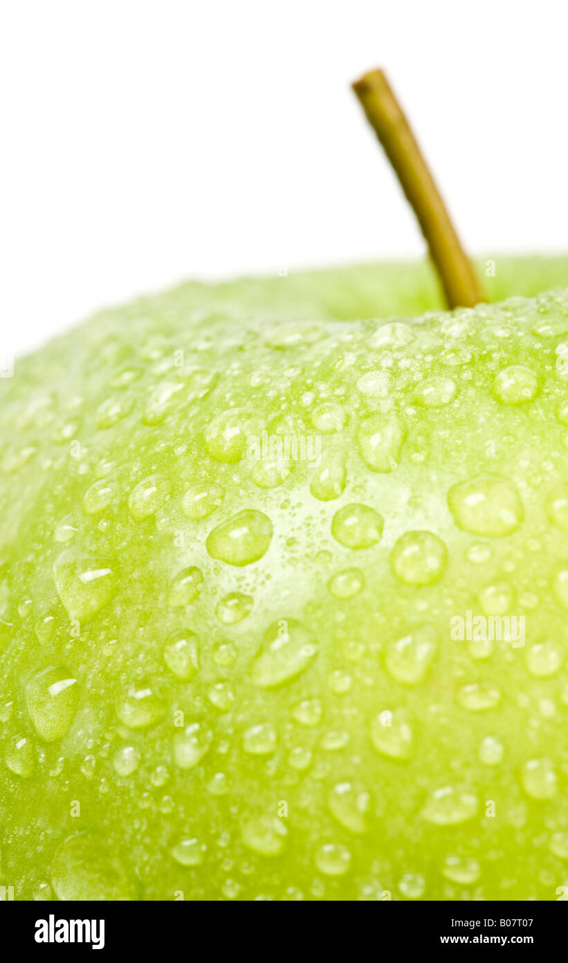 Green Granny Smith Apple on white backround Stock Photo Alamy