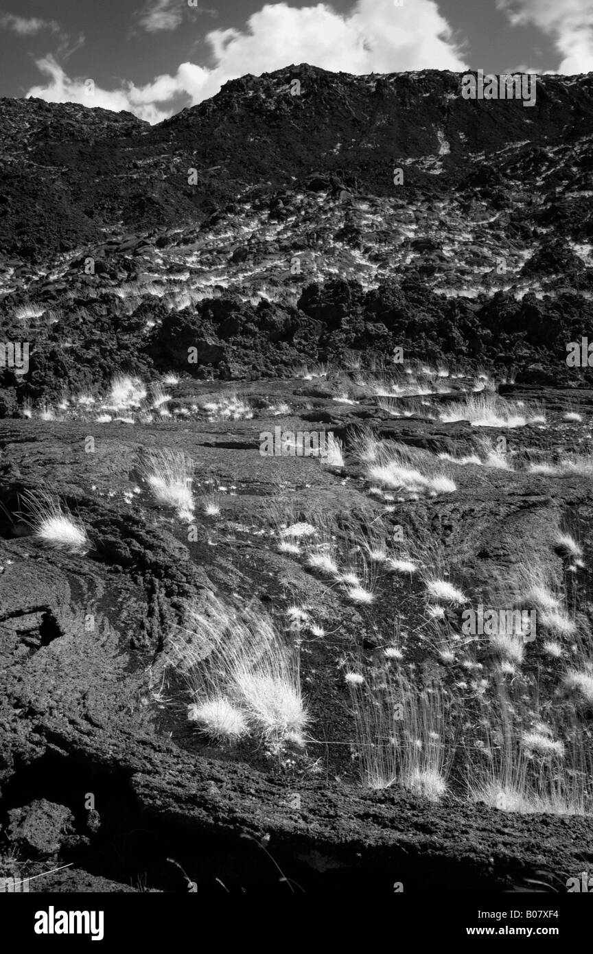black and white photograph of mount Etna, the highest volcano in Europe, located in Sicily, southern Italy Stock Photo