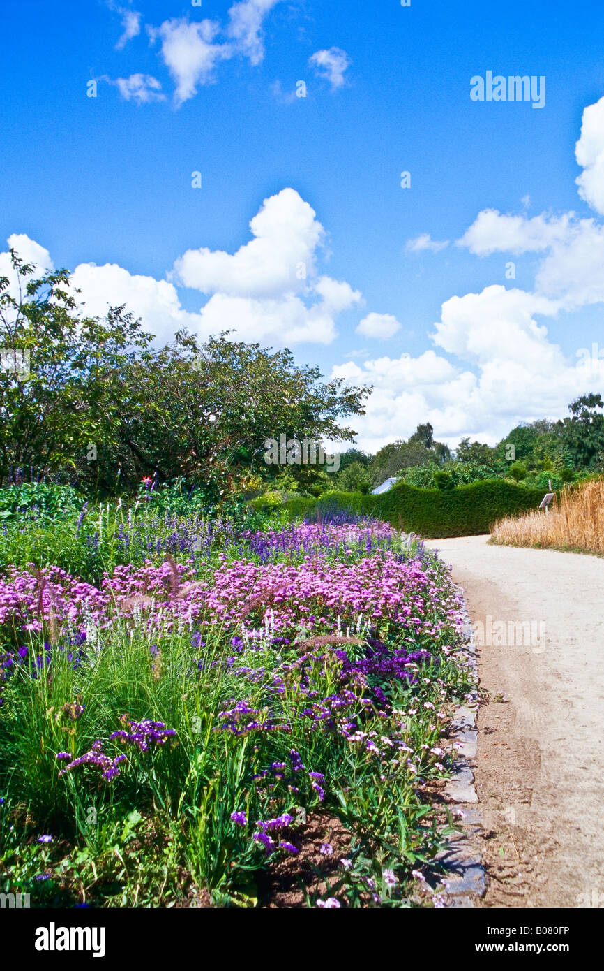 Path and blue flower bed in the Arboretum Ellerhoop Stock Photo Alamy