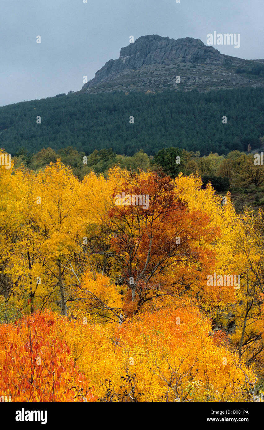 Autumn at Sierra Ayllon, Guadalajara province, Castilla la mancha, Spain Stock Photo