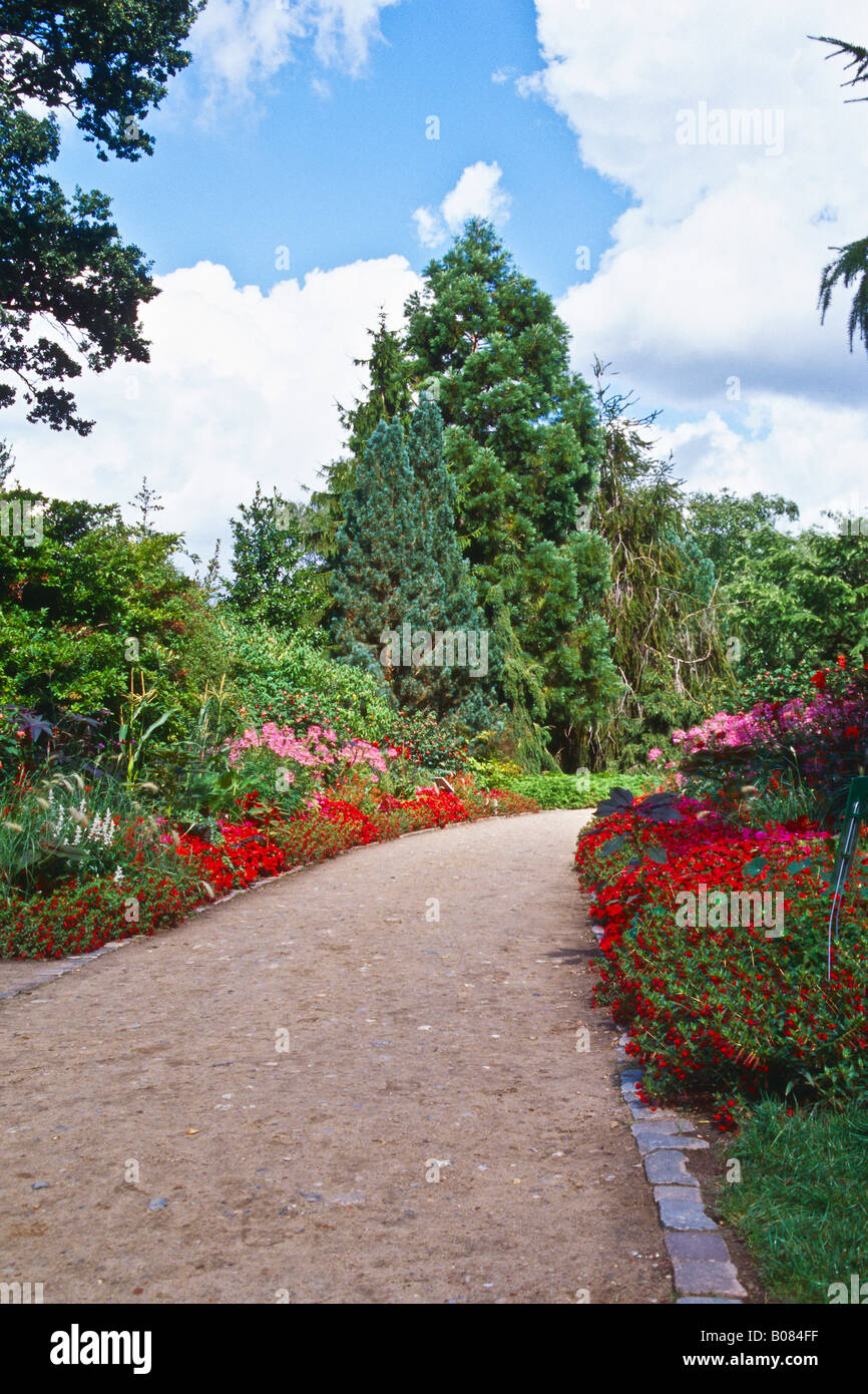 Path in the Arboretum Ellerhoop Stock Photo