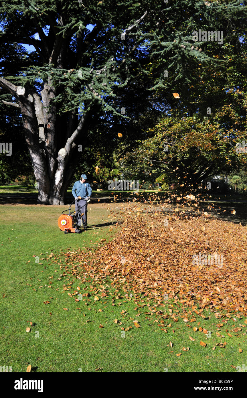 Clearing autumn leaves in the Christchurch botanic gardens, New Zealand Stock Photo