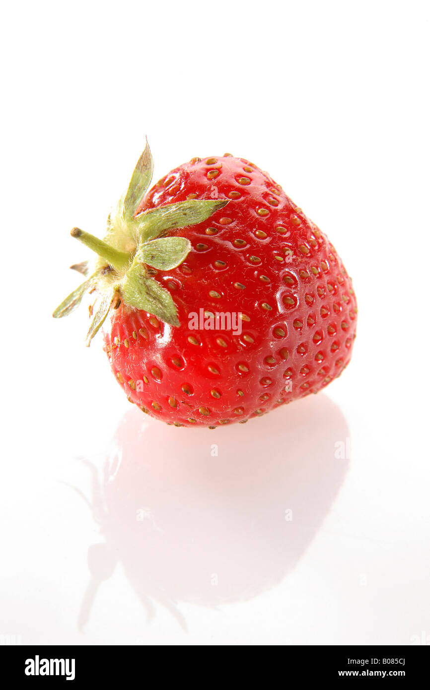 Einzelne Erdbeere, Strawberry Stock Photo